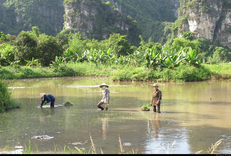 Vietnam - Cambodge - 0429.JPG